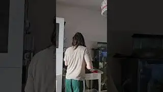 é scappato un Boa!