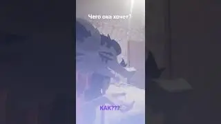ДА ОНА ЗАДОЛБАЛА