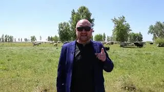 Что происходит  Выпуск № 11
