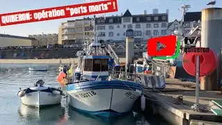 QUIBERON  | 🆘 Opération 'Ports Morts'   |  TV Quiberon 24/7