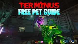 How to get a PET in Terminus (Black Ops 6 Zombies Guide)