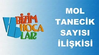 MOL KAVRAMI 1 - MOL İLE TANECİK SAYISI İLİŞKİSİ - TYT - 10. SINIF