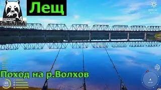 Русская рыбалка 4 - р. Волхов - Лещ