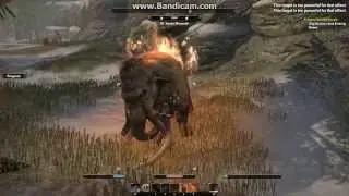 Бой с мамонтом. The elder scrolls online RU