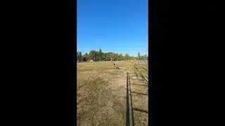 Акробатика #musicvideo #musicvideo #sport