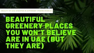 Beauty Of UAE Shooted on Different iPhone Models