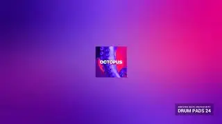 Octopus - Drumpads24