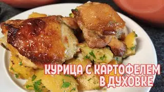 Курица с картофелем в духовке, это один из лучших способов приготовления дома