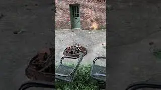 Concrete Pressure Washing Results - 23