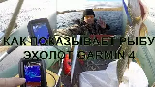 КАК ПОКАЗЫВАЕТ ЩУКУ ЭХОЛОТ 