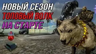 Топовый волк на старте - Новый сезон - ARK Survival Evolved Mobile