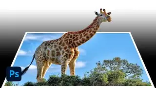 Photoshop 3D Fotoğraf Efekti