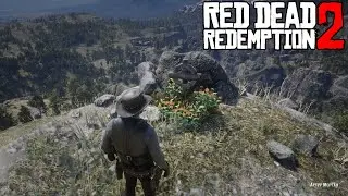Могилы спутников ► Red Dead Redemption 2 #64