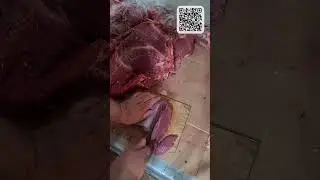 ПЧАК не НОЖ? 