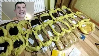 Насіння на якому планую заробити на весні !