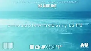 D i a r y E N T R Y (Visualizer)