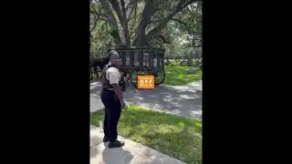 Foolio last ride RIP🕊️