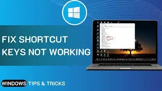 Ctrl+A CTRL+C and CTRL+V Not Working in Windows 10 Or 11 | (3 Fix For Laptop And Computer