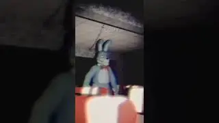As FITAS VHS MAIS ASSUSTADORAS de FNAF! 
