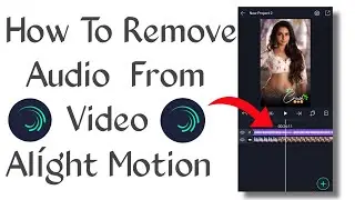How To Remove Audio From Video In Alíght Motion ll Alight Motion Video Editing ll NS Editor