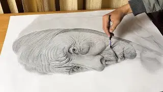 Drawing Old Lady On A1 Paper