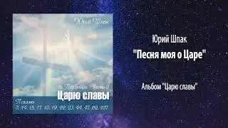 Юрий Шпак, 