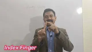 Handy Vocab|| Names of Different Parts of Hand