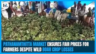 Pathanamthitta market ensures fair prices for farmers despite wild boar crop losses