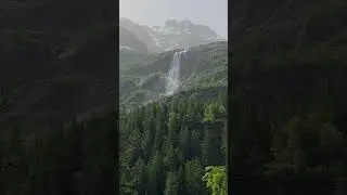 Wild Forest in the swiss Alps with waterfall in the background #switzerland #shorts #youtubeshorts