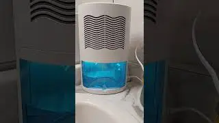 Dehumidifier for gamers?