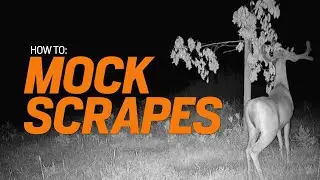 HOW TO: Put in a Mock Scrape // Black Widow Branch Butter