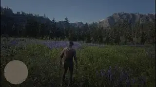 Red Dead Redemption 2_20240201190321
