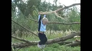 На вербі груші виросли )