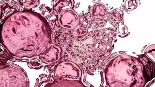 Hormones: IVL Explains The Different Types of Hormones