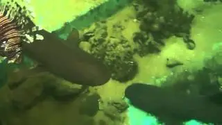Институт океанографии в Ня Чанге