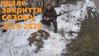 Закриття полювання на зайця 2020. Багато зайця. Погоня за підранком.