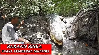 Sarang, Buaya Riska Yang Lagi Viral || Hati² Saat Mancing Di Tempat Ini