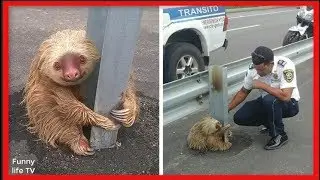 Touching Photos Capable Of Melting The Most Insensitive Of Hearts