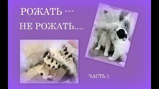 To give birth --- not to give birth))). part 1. Nursery 