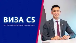 Виза С5 для открытия бизнеса в Казахстане