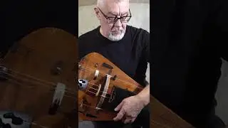 Hurdy-Gurdy Street Blues #shorts #hurdygurdy