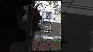 Почему кормушка в клетке