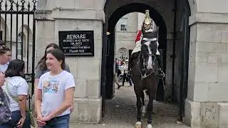 28/07/24 THE POLICE CALMING THE HORSE