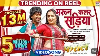 Maroon colour sadiya #dineshlalyadav #aamrapali Dubey #kalpna #neelkamal shingh | FASL | movie song