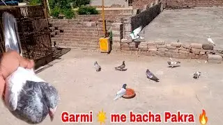 Garmi 🥵 Me 0 Kali Ka Golden Bacha Pakra 🔥