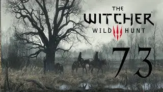 Решение проблем на Скеллиге (The Witcher 3 № 73)
