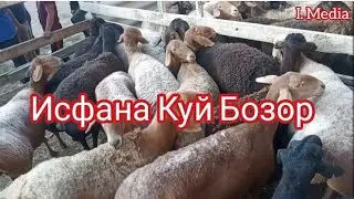 Исфана Куй Бозор Исфана кучкор Бозори