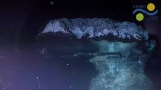 Otherworldly Mirror Pools, New Lifeforms, and Mesmerizing Landscapes Discovered on Ocean Floor