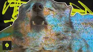 The Empty Howl of a 