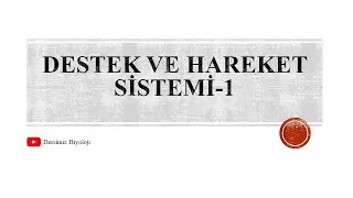11. Sınıf Destek ve Hareket Sistemi -1